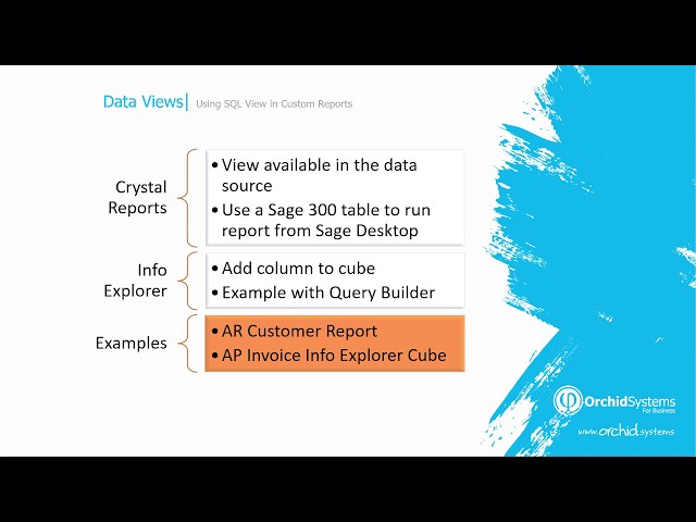 Data View Sage 300 Video