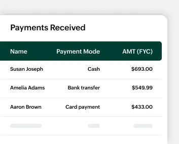 Payments Analytics Report