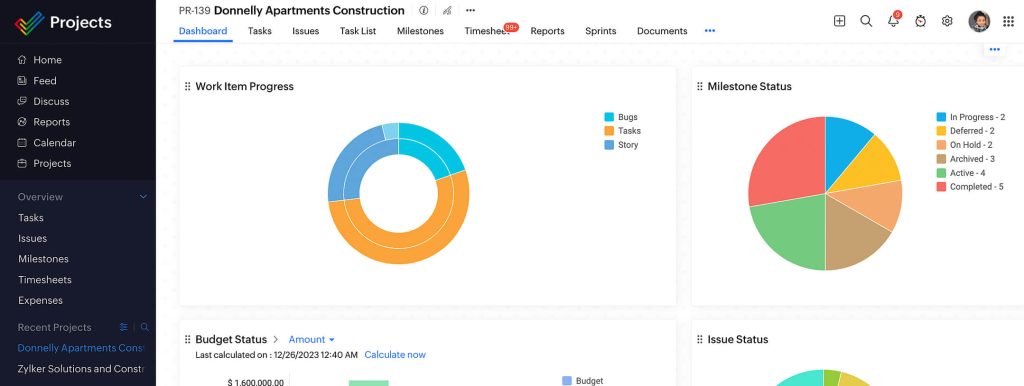 Report and Dashboard View for project management